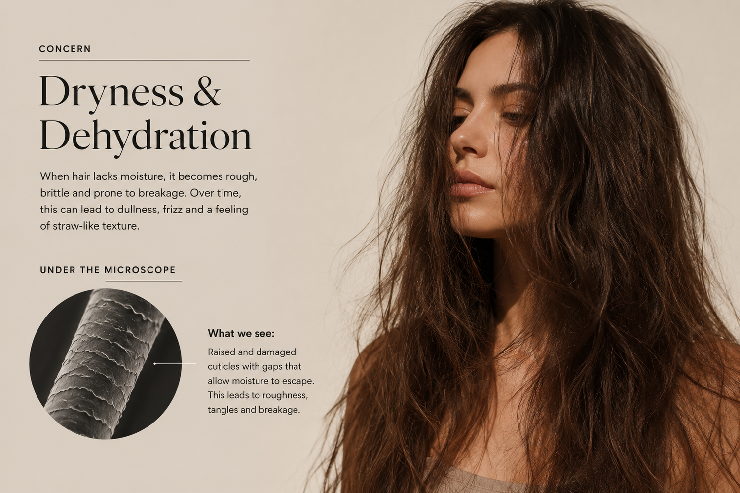 Dryness & Dehydration